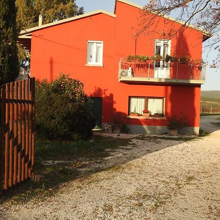 Poggio La Luna - La Casa Nel Vigneto Монтемерано Екстериор снимка